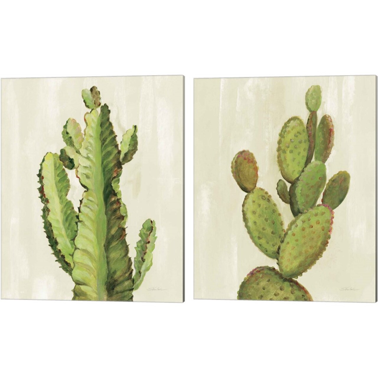 Front Yard Cactus by Silvia Vassileva 12" x 15" Canvas Wall Art (Set of 2)